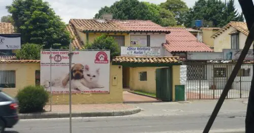 CLINICA VETERINARIA HUELLAS BOGOTÁ CLINICA VETERINARIA HUELLAS BOGOTÁ